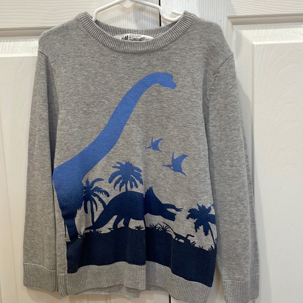 H&M boys sweater size 4-6